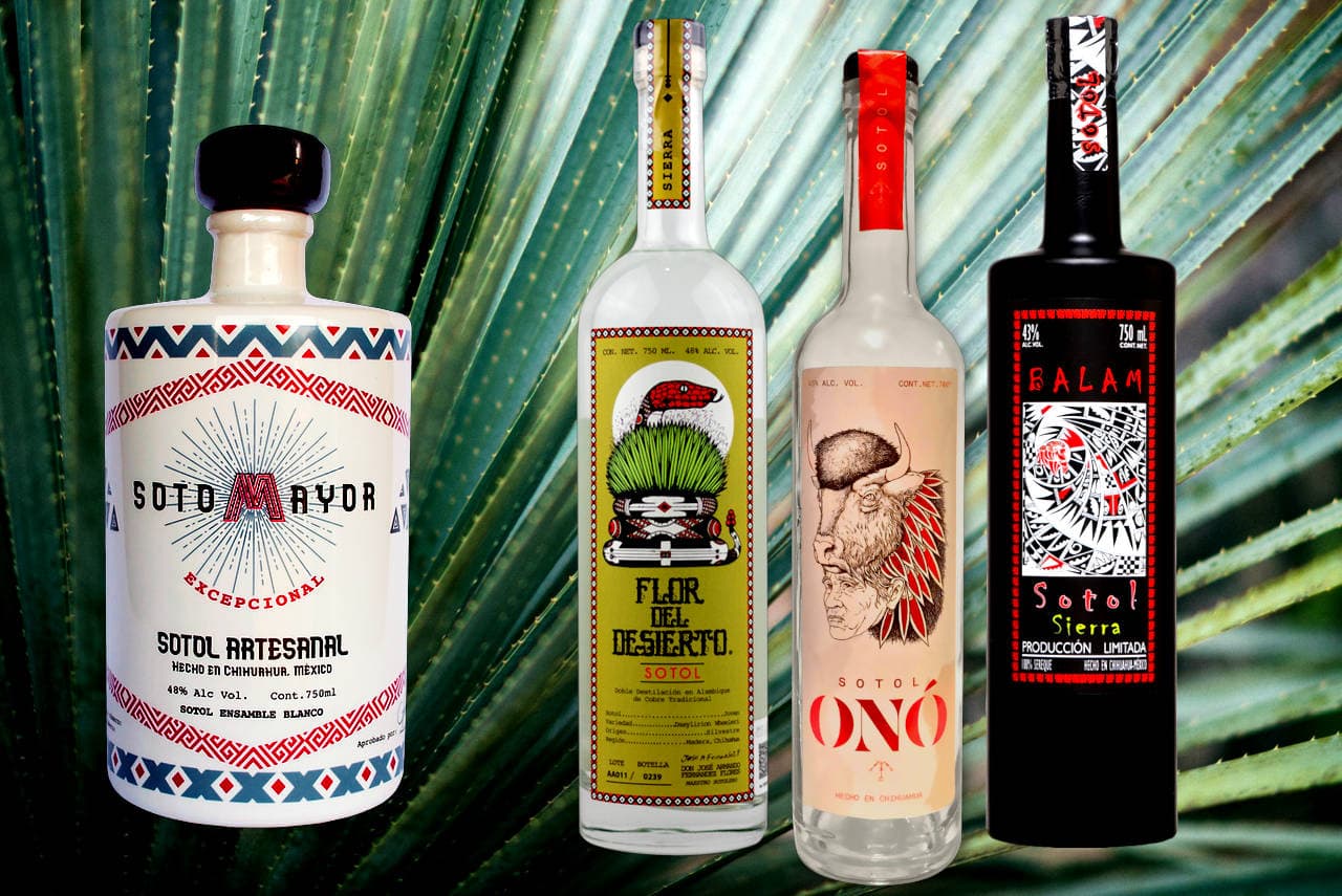 Best Sotol Brands