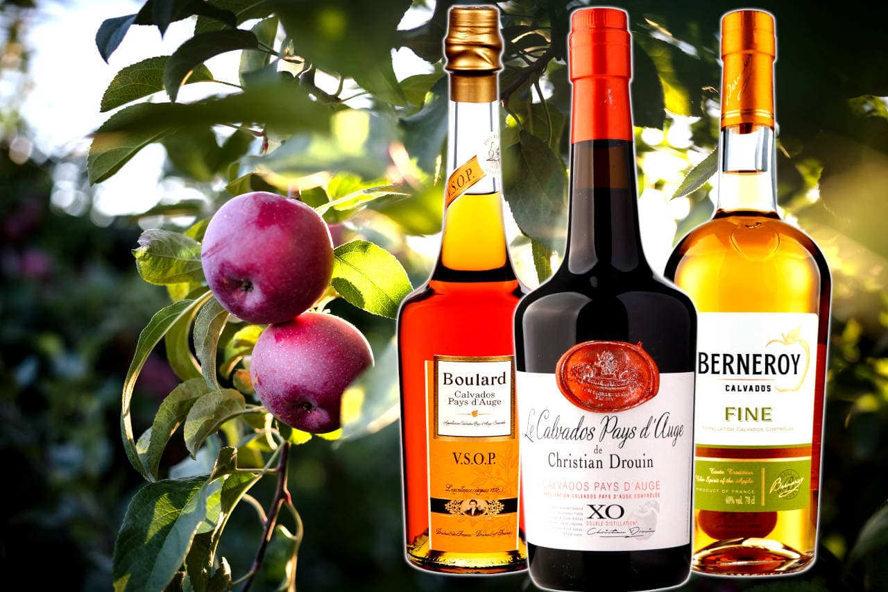 Best Calvados Brands