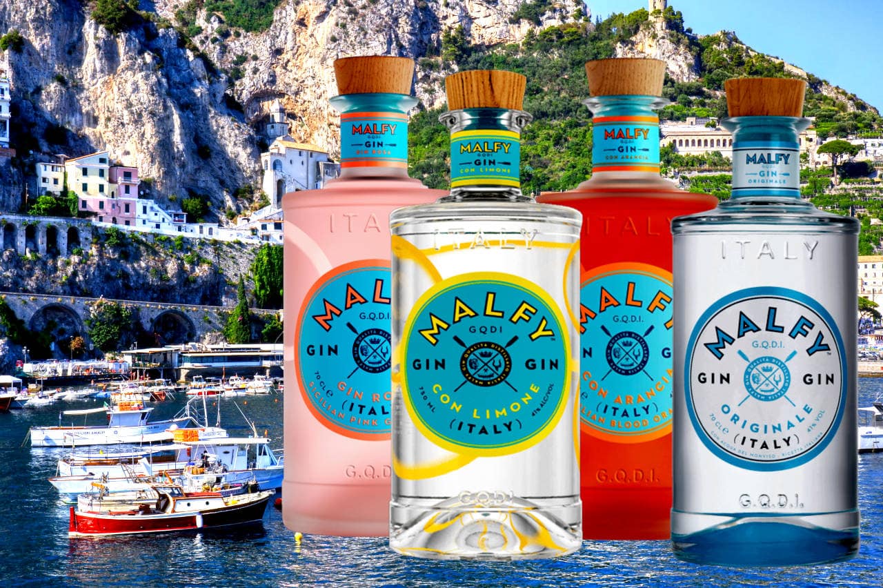 Best Malfy Gins