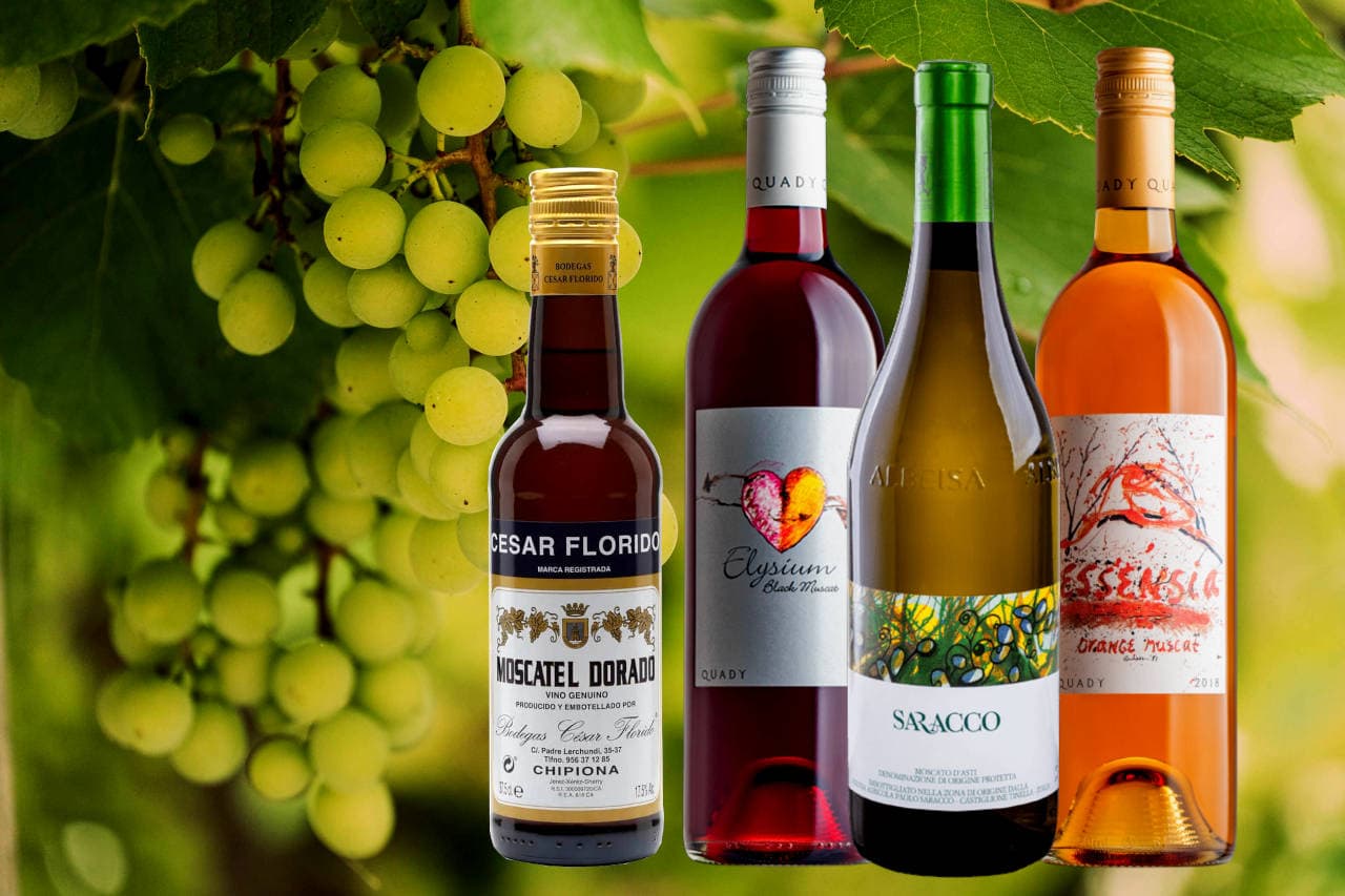 Best Muscat Dessert Wines