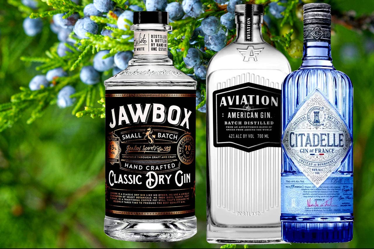 Best Juniper Forward Gins
