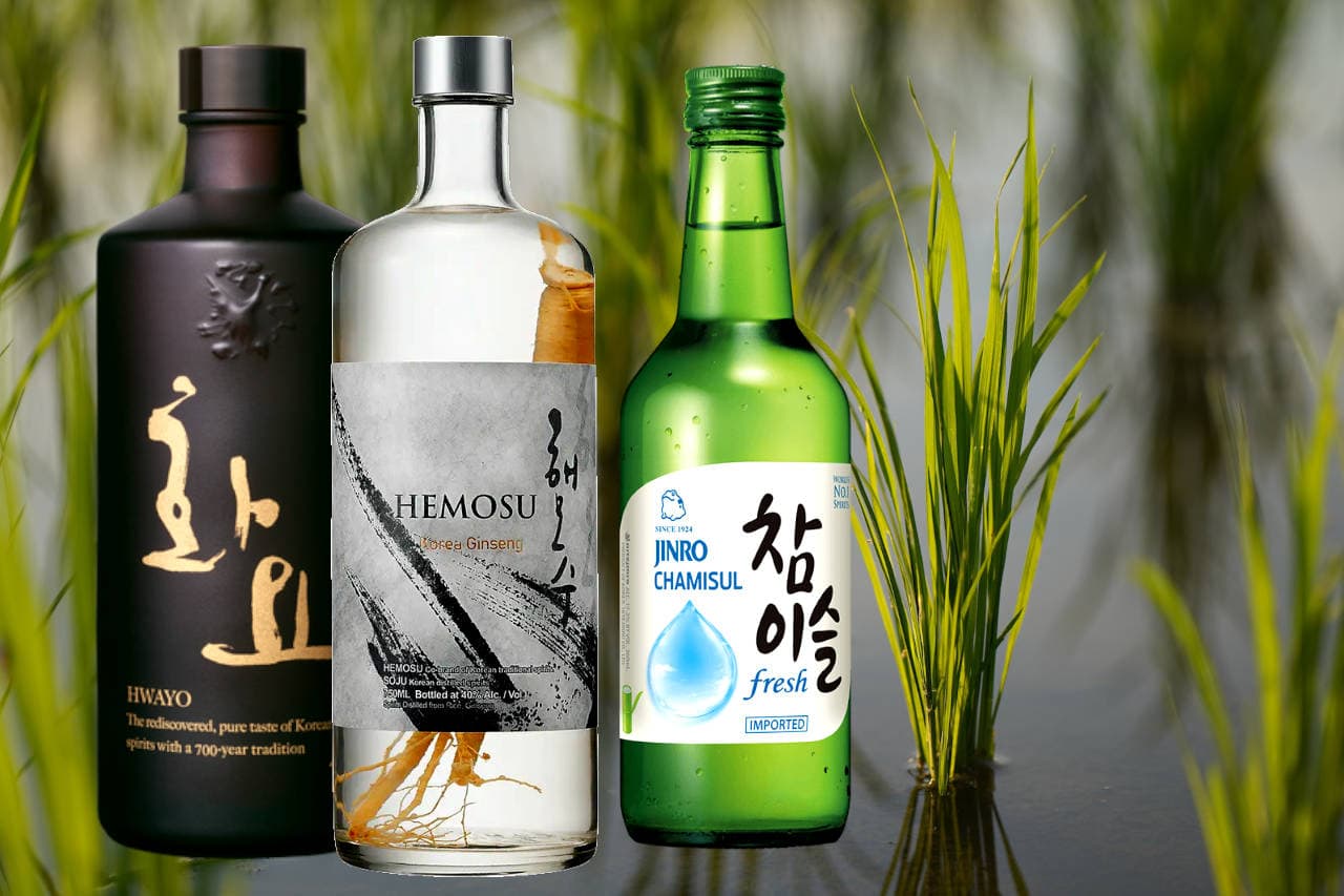 Best Korean Soju