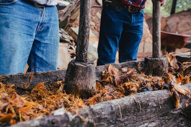 Production Process of Tequila and Mezcal