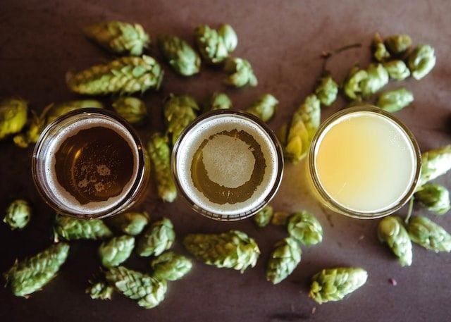 hops are one of the main ingredients of beer