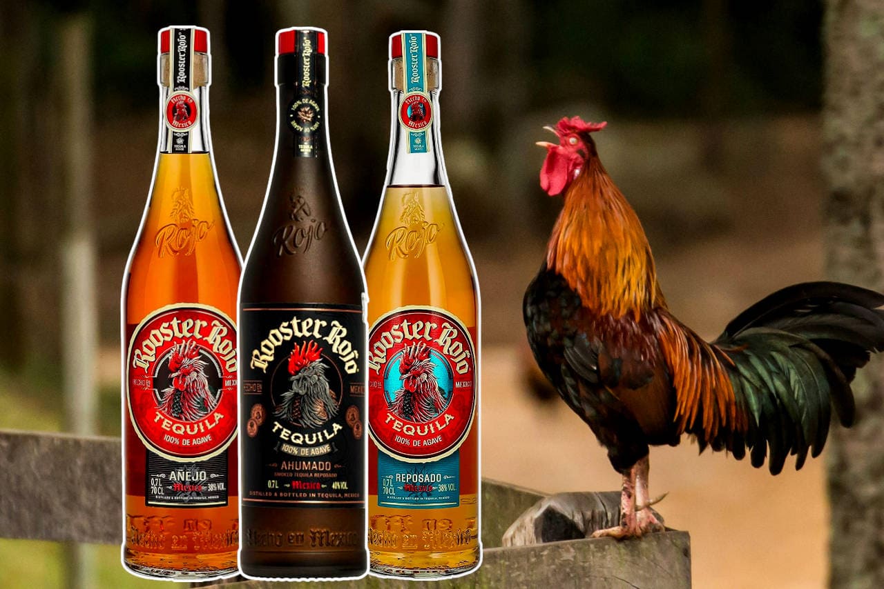 Best Rooster Rojo Tequila
